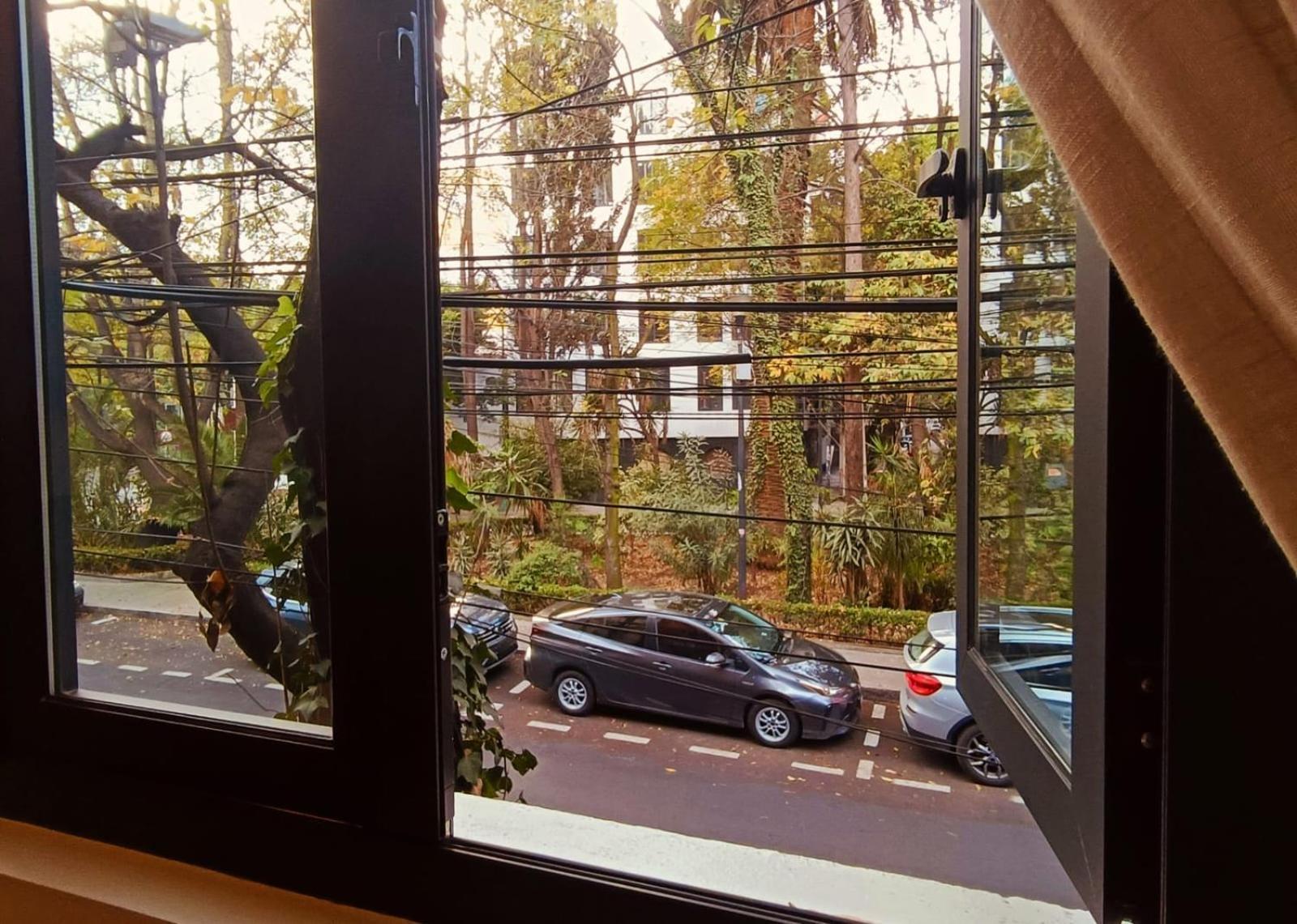 Casa Altata Hotel Boutique 墨西哥城 外观 照片